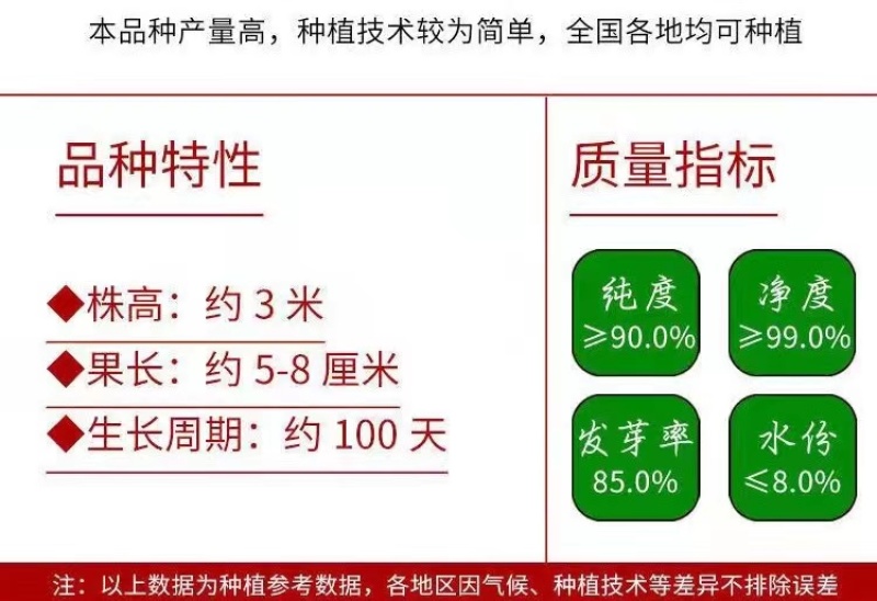 手捻葫芦种子盆栽迷你小葫芦手玩种籽观赏爬藤阳台庭院植物