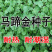 马蹄金种子草籽草坪种子小金钱草铜钱草种子四季常青耐高温绿