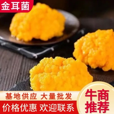 【牛商推荐】金耳菌，产地一手货源，对接大型批发商一件代发