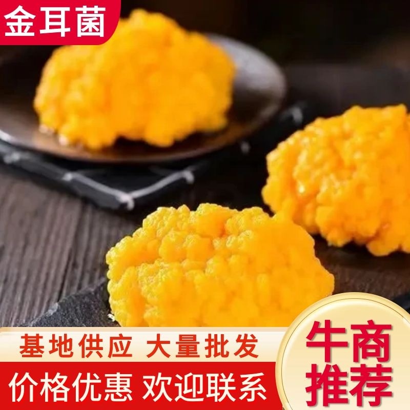【牛商推荐】金耳菌，产地一手货源，对接大型批发商一件代发