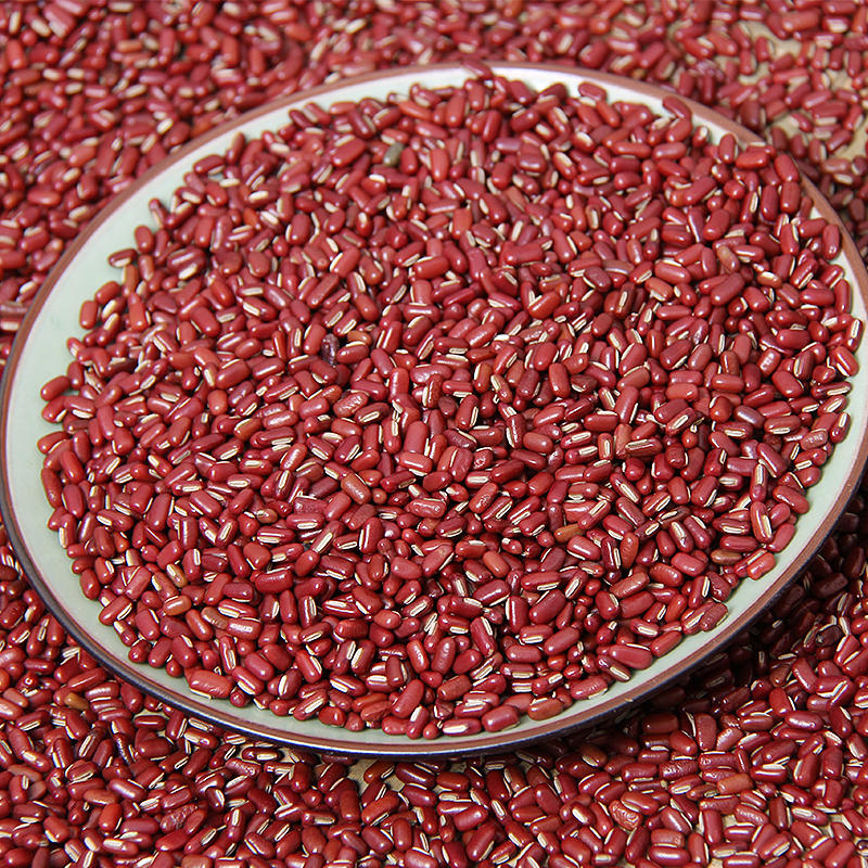 正宗赤小豆批发农家自产长粒红小豆中药材红米薏米粥材料朱豆