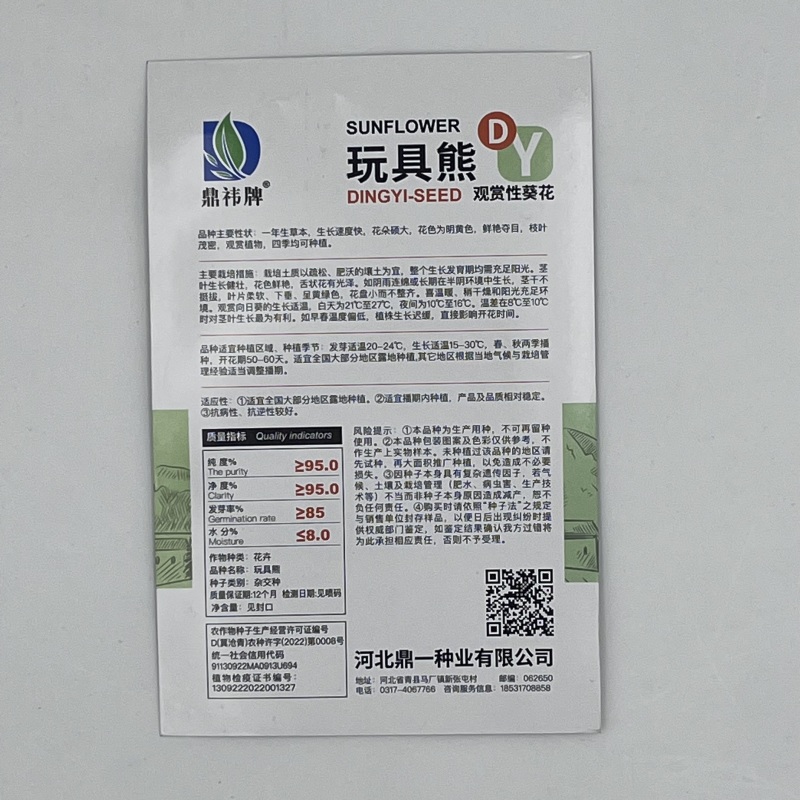 玩具熊向日葵种子花朵硕大鲜艳夺目