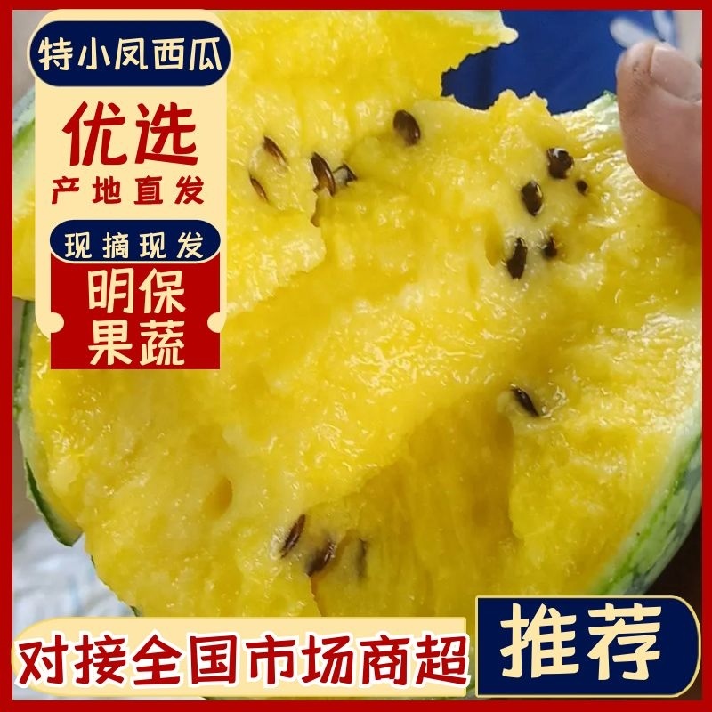 特小凤西瓜，西瓜，江苏特小凤西瓜，特小凤大量批发品质保障