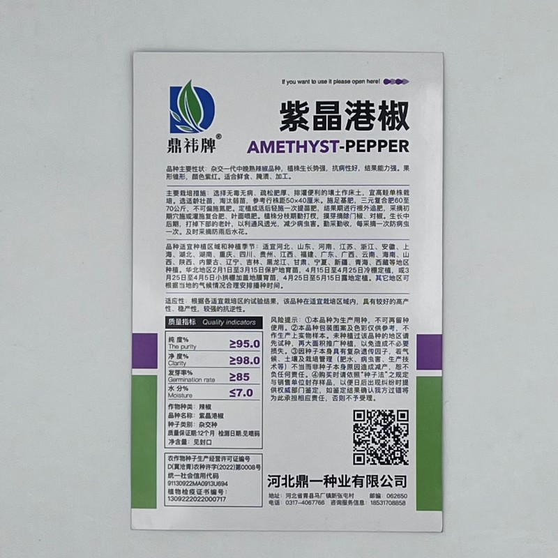 紫晶港椒种子结果能力强颜色紫红