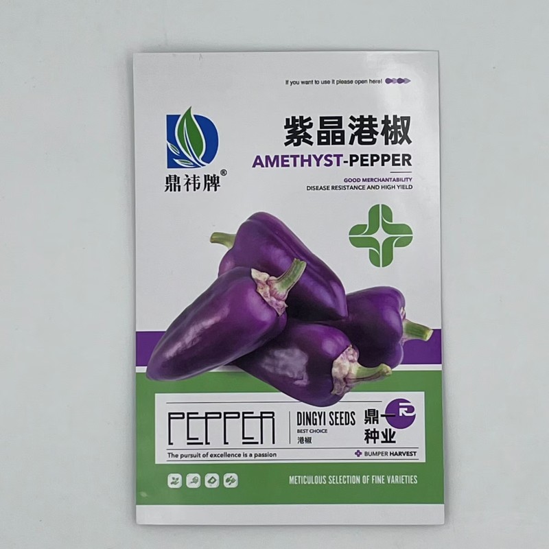 紫晶港椒种子结果能力强颜色紫红