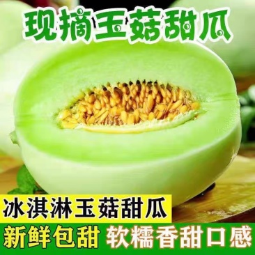 【牛商推荐】玉菇甜瓜2斤精品甜瓜基地发货欢迎实地考察