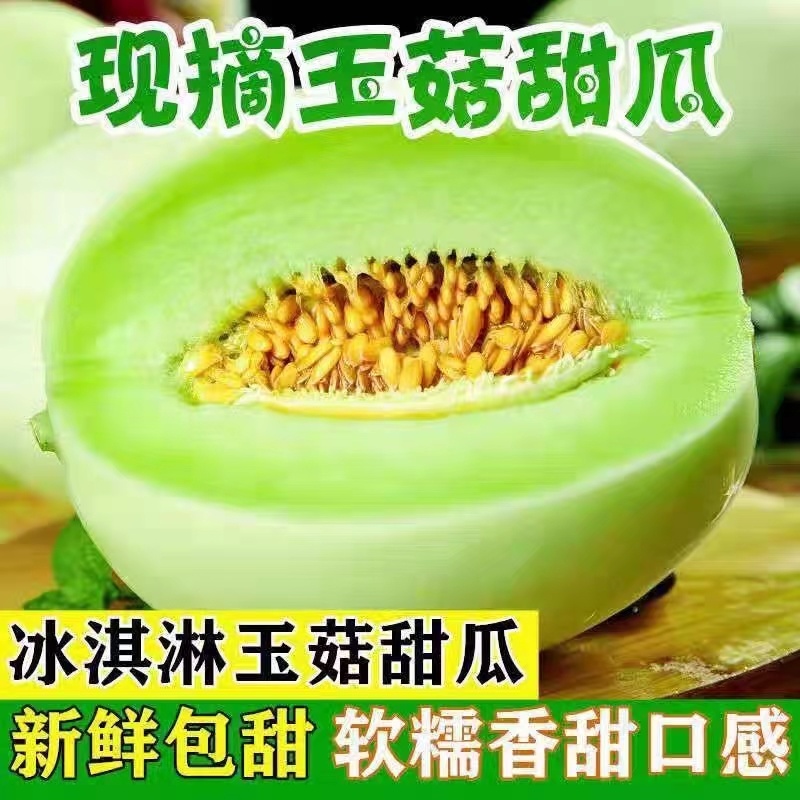 【牛商推荐】玉菇甜瓜2斤精品甜瓜基地发货欢迎实地考察