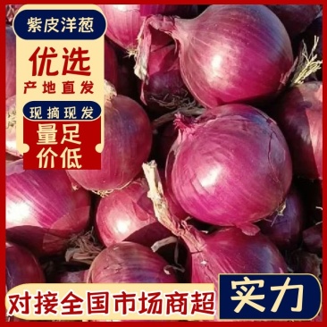 精品好品质洋葱紫皮红皮洋葱山东发货量足价低