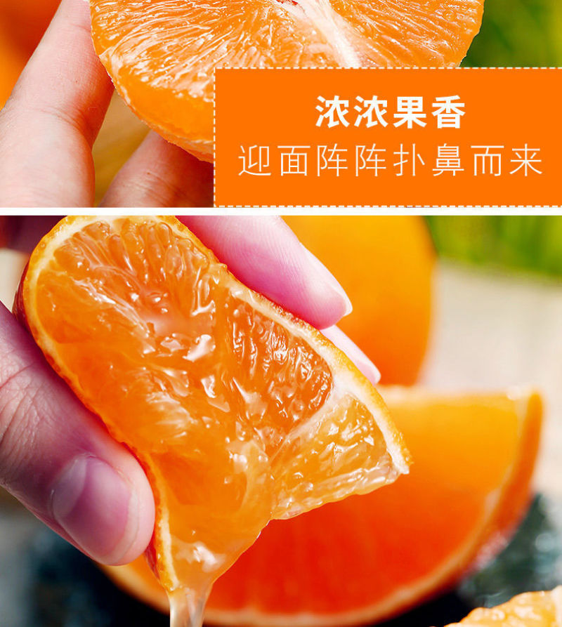 【特价】青见果冻橙柑橘皇后电商社区团购一件代发整车空运