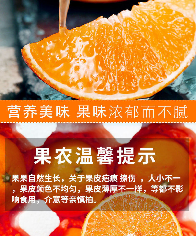 【特价】青见果冻橙柑橘皇后电商社区团购一件代发整车空运