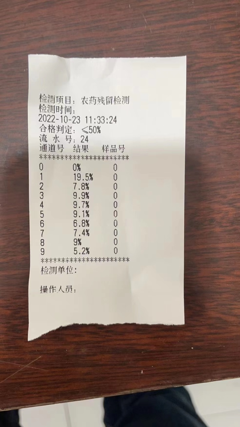 【特价】青见果冻橙柑橘皇后电商社区团购一件代发整车空运