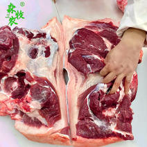 生态黑猪肉散养黑猪年猪品质上乘质量保证欢迎咨询