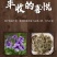 苦地丁种子野生药材紫花地丁种子