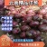 紫红洋葱洋葱各种规格供应，提供各种包装，代发全国各地