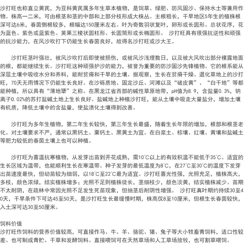 沙打旺种子优质牧草种子豆科优质麻豆秧沙地牧草种子