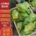 甘蓝山东圆包菜大量供应品质保证可视频看货