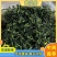精品黄瓜干黄瓜条脱水蔬菜厂家发货品质保障