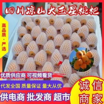 精品枇杷德昌五星枇杷高山纯甜量大从优