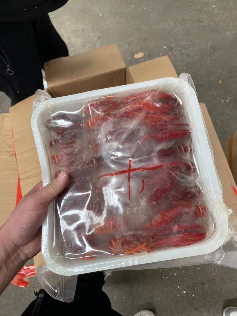 湖北冷冻清水小龙虾液氮冷冻整只虾厂家直销