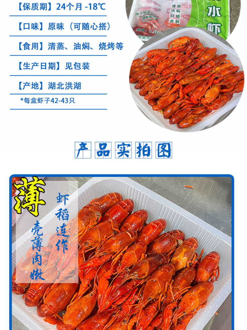 湖北冷冻清水小龙虾液氮冷冻整只虾厂家直销