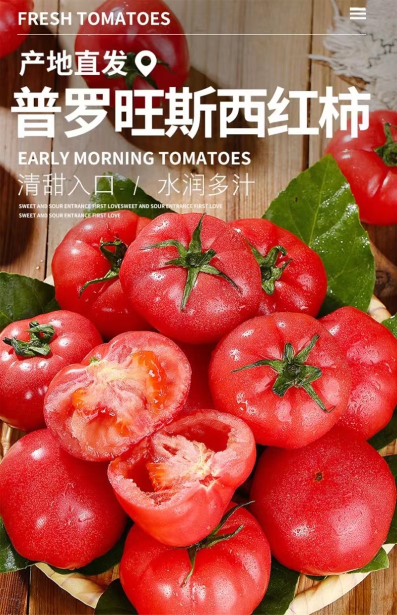 【山东烟台】普罗旺斯西红柿品质保证果型饱满香甜美味