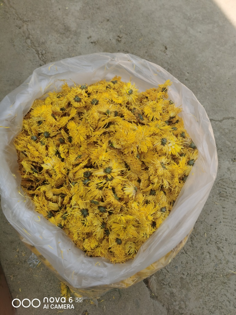 菊花茶金丝皇菊花茶视频看货保质量。