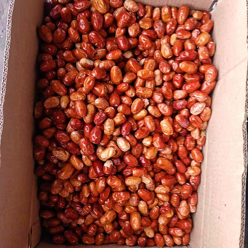 精品红沙枣免洗即食干果新疆特产无加工原味泡茶特级大果包邮