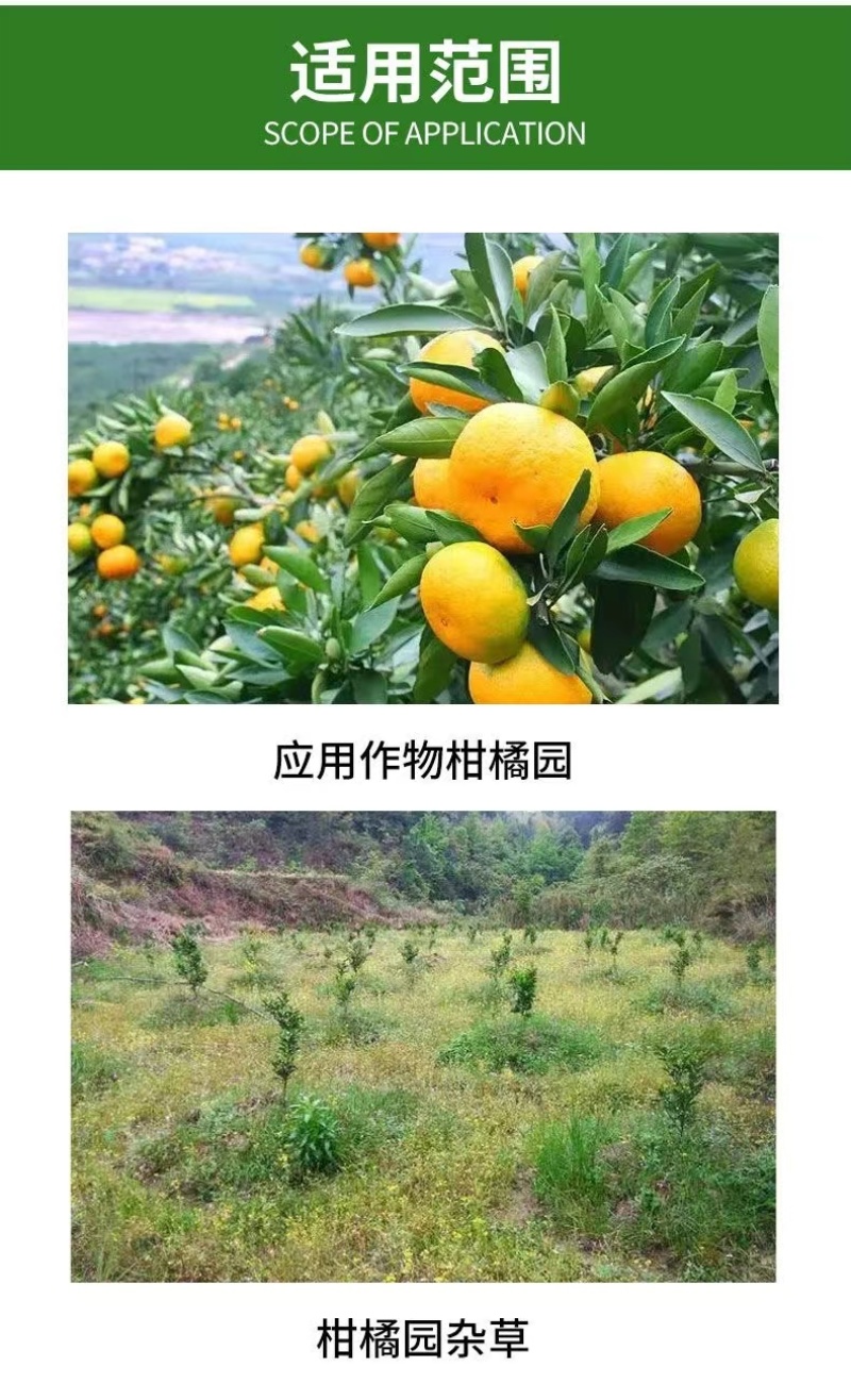 41%草甘膦异丙胺盐5公斤*4瓶除草剂果园荒地茶园杂