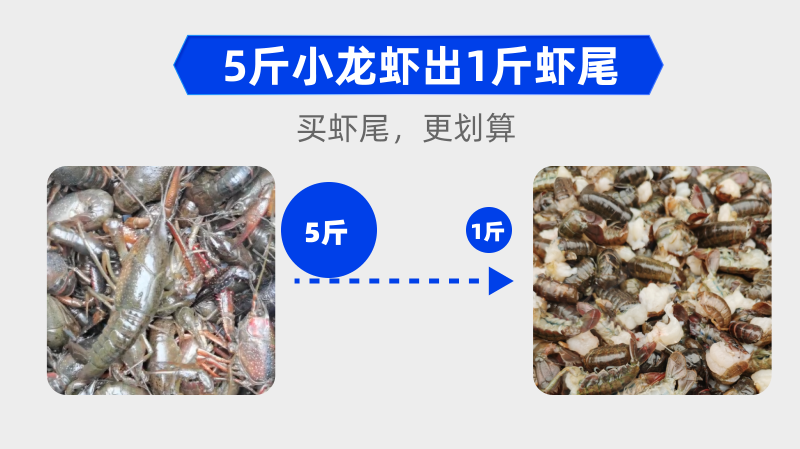 【顺丰包邮】潜江小龙虾手剥虾尾23年新虾产地直发