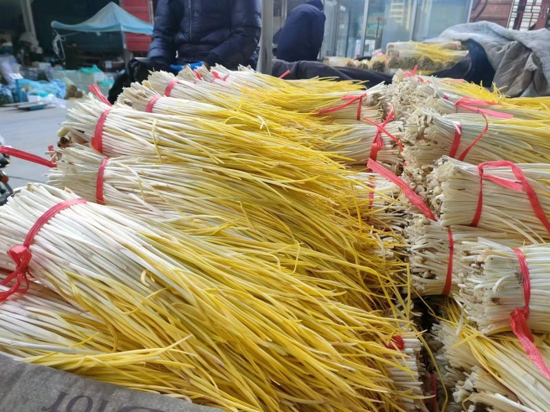 精品优质蒜黄基地直供一手货源品质保证诚信经营