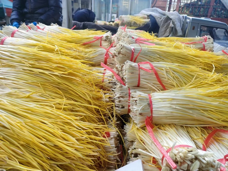 精品优质蒜黄基地直供一手货源品质保证诚信经营