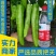 黄尖椒苗陇椒苗，线椒苗品种齐全存活率高包存活包技术
