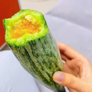 精品羊角蜜甜瓜费县精品甜瓜品质保证欢迎咨询合作