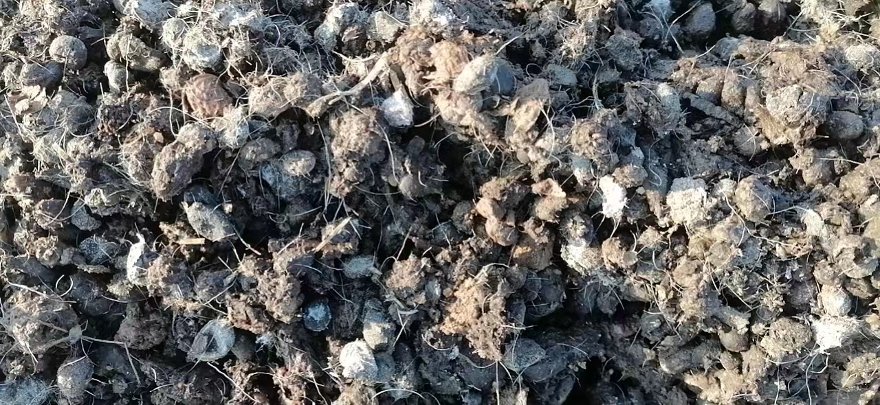 山东矮马养殖基地生态循环系统