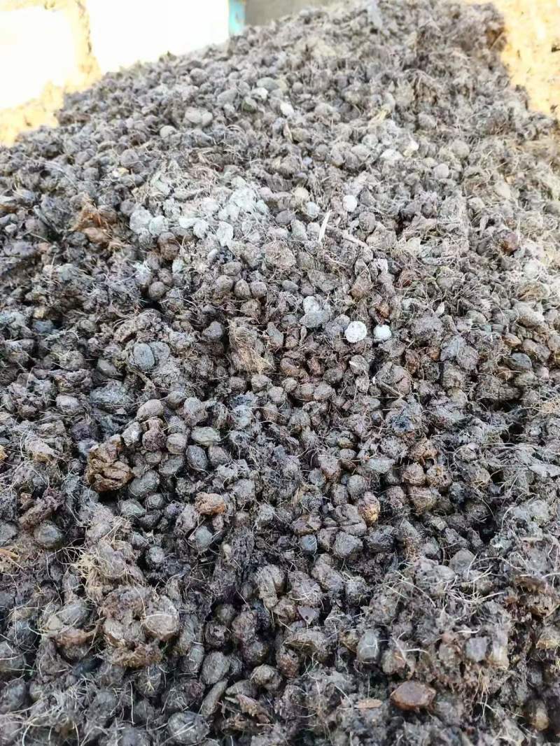 河北精品发酵羊粪热卖中，基地直供，质量上乘，量大从优