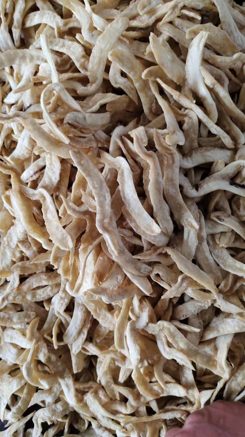 燕麦条豆鱼素豆鱼厂家直销货源充足大量批发赶集热卖