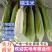 粘玉米批发，甜糯玉米，货源很多，质量不错