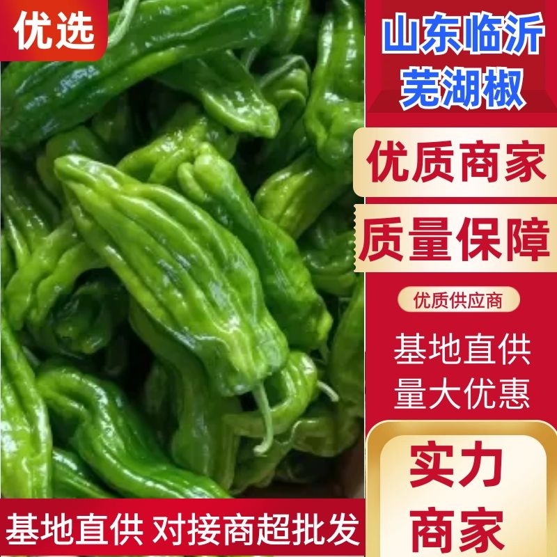 鲜辣椒山东兰陵芜湖椒薄皮椒全国发货品质保证以质论价