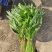 空心菜（大棚种植基地空心菜）产地直供，自产自销