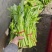 空心菜（大棚种植基地空心菜）产地直供，自产自销