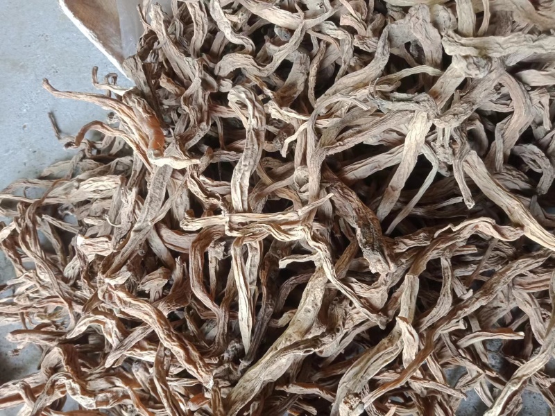 干货百部，精品上市，供应量大，欢迎电话咨询，可视频看货