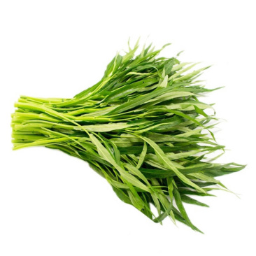 空心菜（大棚种植基地空心菜）产地直供，自产自销