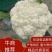 河南精品有机花菜，白花菜，小米花，产地直供保质保量