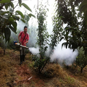 现货供应大功率双管烟雾机消杀设备汽油打农药机弥雾机消杀喷