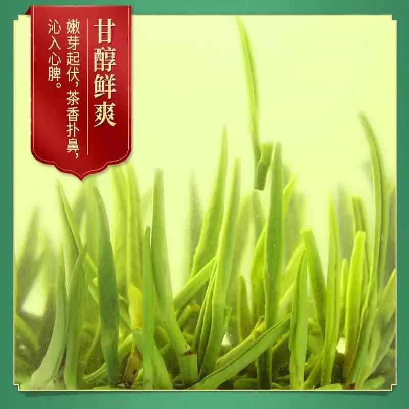 竹叶青茶叶2023春茶明前茶芽峨眉高山绿茶特级(品味)茶