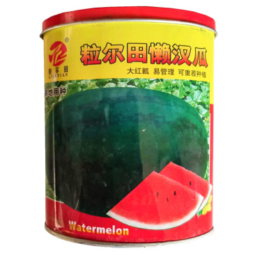 懒汉王西瓜种子可重茬种植大果大红瓤易座果甜度13