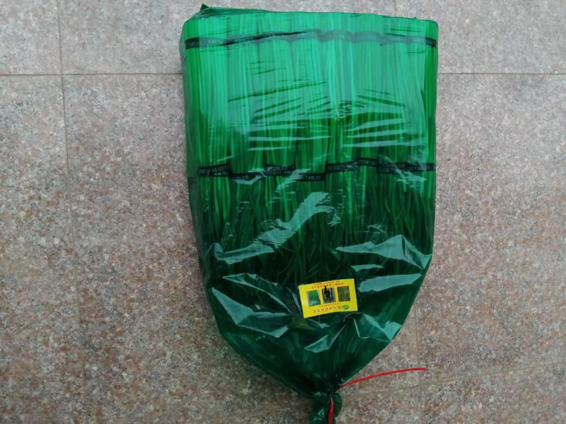 江苏邳州红帽蒜苔精品蒜苔产地直发品质保证