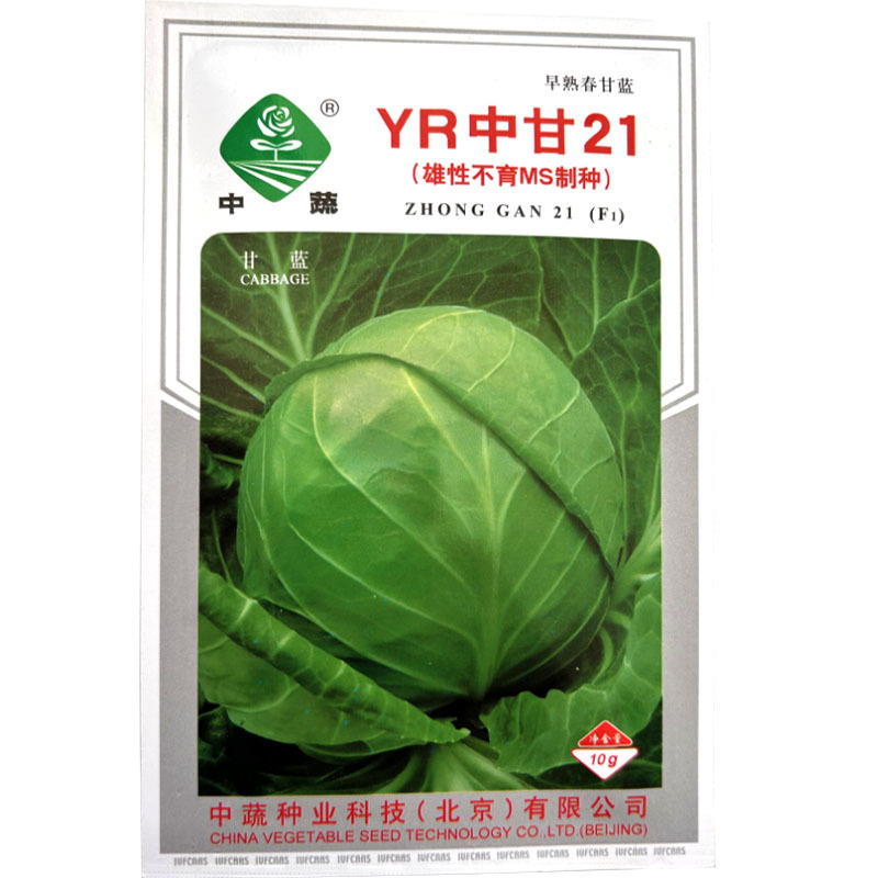 中甘甘蓝种子中蔬中甘21甘蓝种子种籽包菜包心菜卷心菜蔬菜