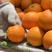 伦晚脐橙皮薄汁甜质量保障对接全国电商批发商超市欢迎来电