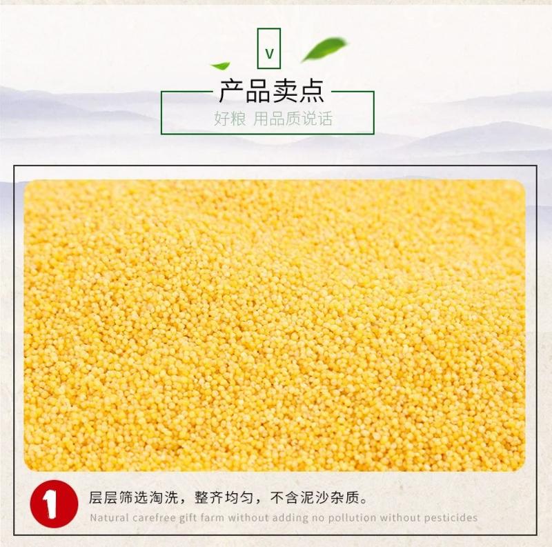 农家小米山西特产黄小米东北月子米养胃小米粥五谷杂粮粗粮